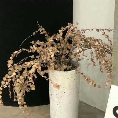 南雄FurryQQ群介绍